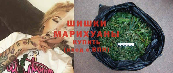 молекула духа Арсеньев