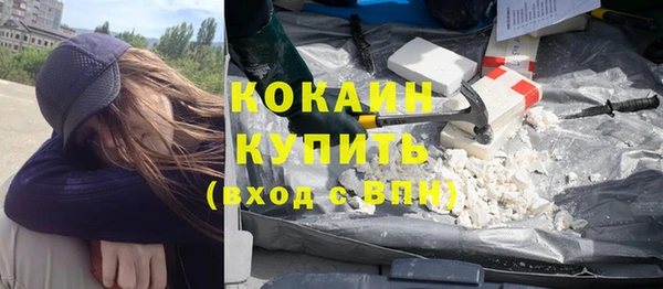 молекула духа Арсеньев