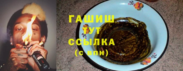 молекула духа Арсеньев