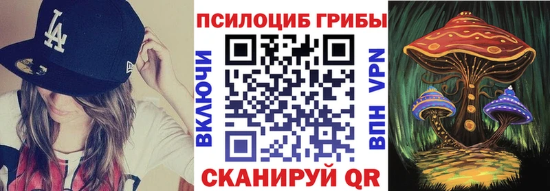 Псилоцибиновые грибы Cubensis  дарнет шоп  Свирск 